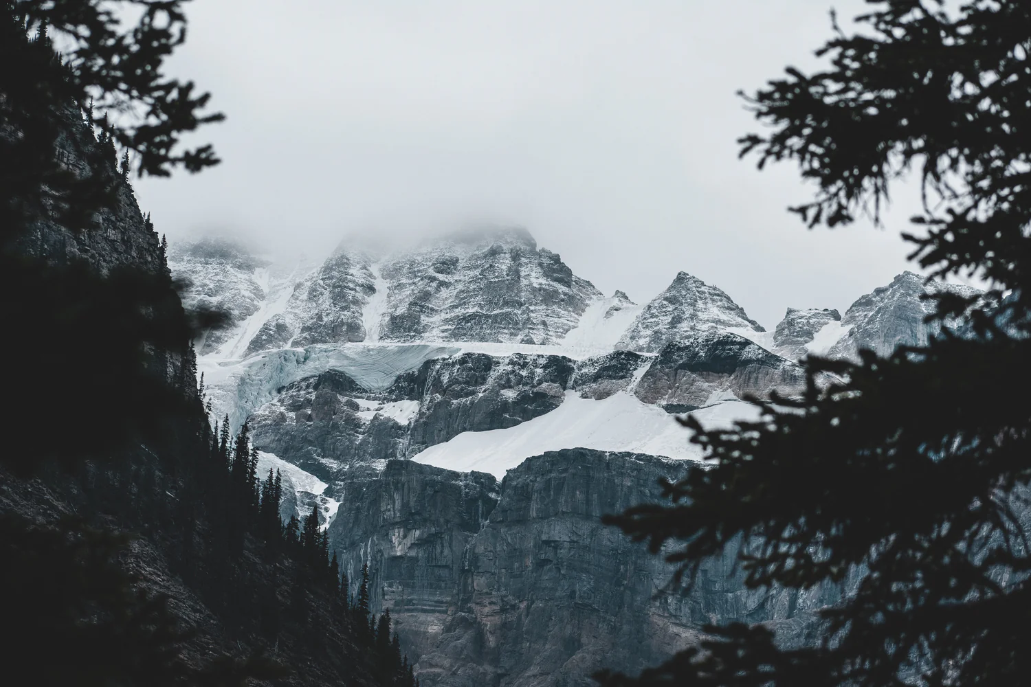 Elevate Your Outerwear Game
